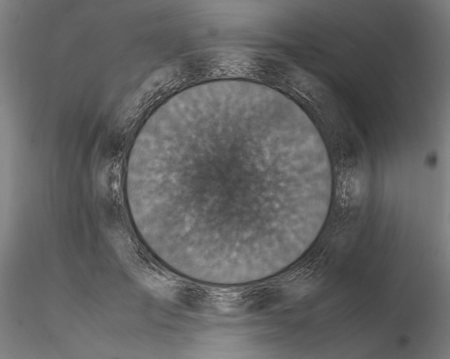 X0000114660701200912011135