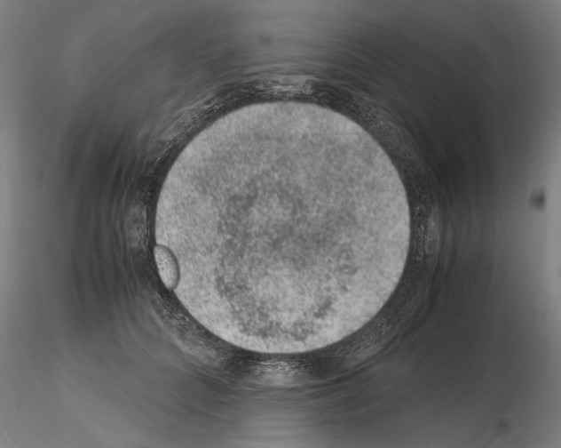 X0000114660704200912011135