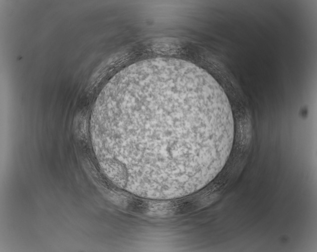 X0000114660705200912011135