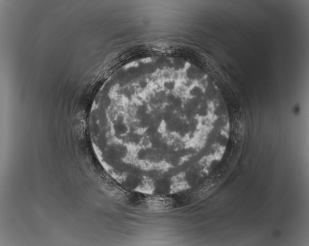 X0000114660707200912011135