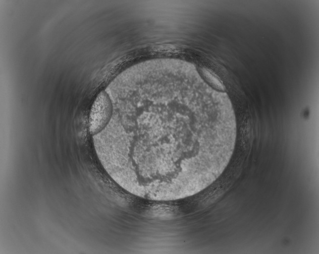 X0000114660708200912011135