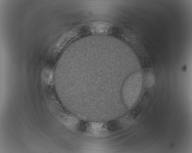 X0000114660709200912011135