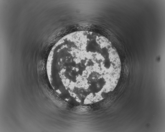 X0000114660711200912011135