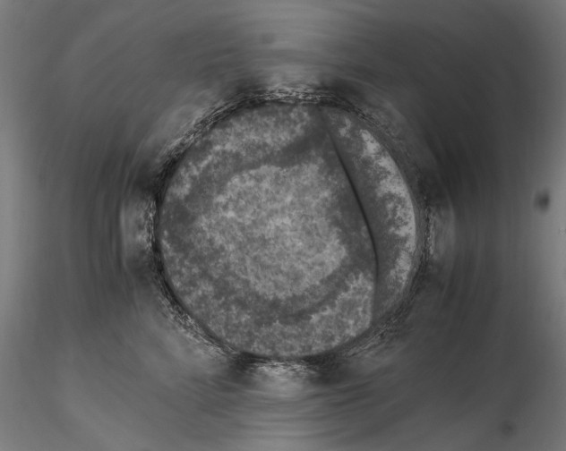 X0000114660712200912011135