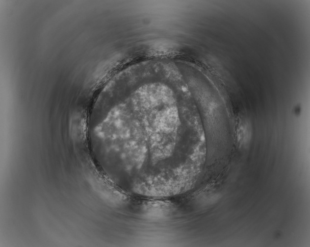 X0000114660716200912011135