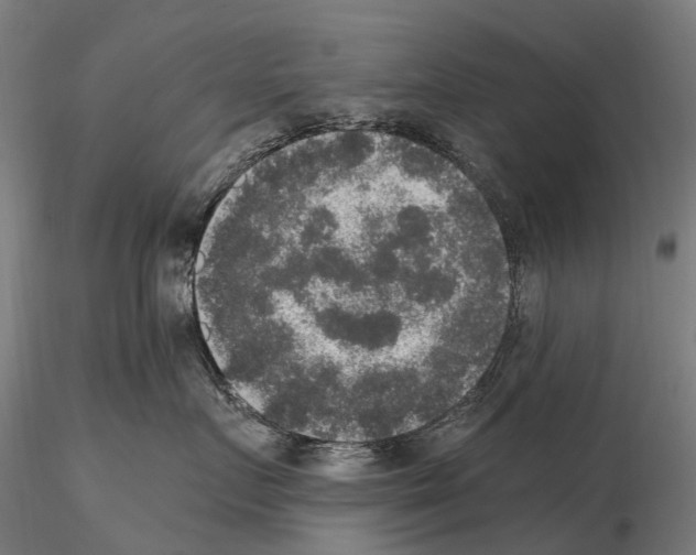 X0000114660719200912011135