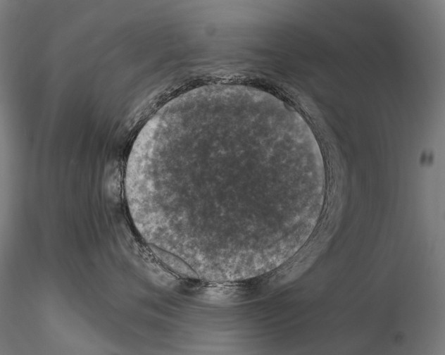 X0000114660720200912011135