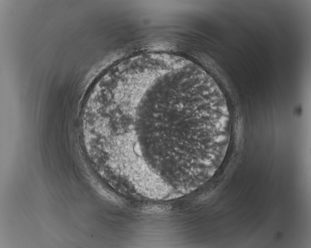 X0000114660721200912011134