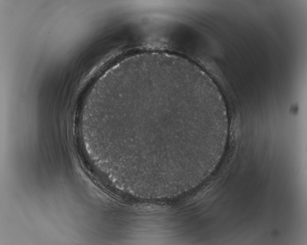 X0000114660722200912011134