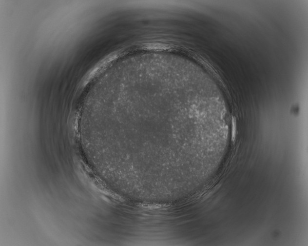 X0000114660723200912011134