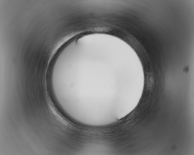 X0000114660726200912011134