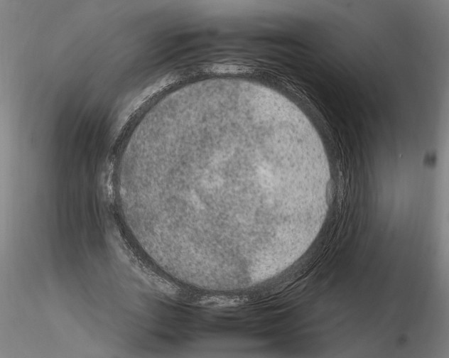 X0000114660727200912011134