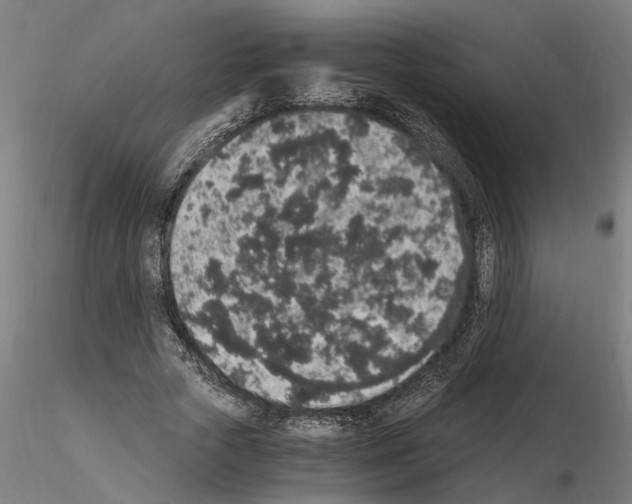 X0000114660729200912011134