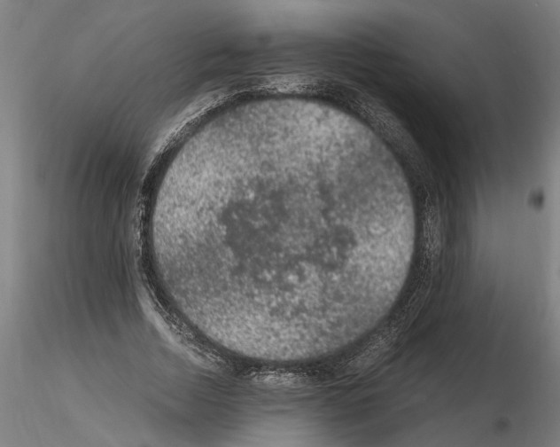 X0000114660730200912011134