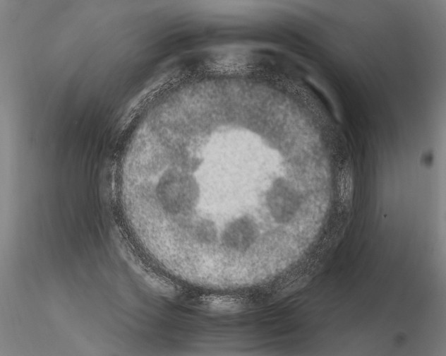 X0000114660733200912011134