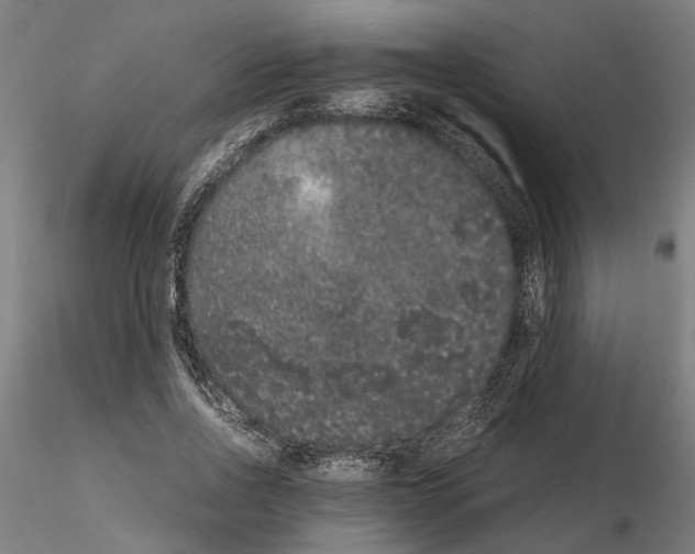 X0000114660734200912011134