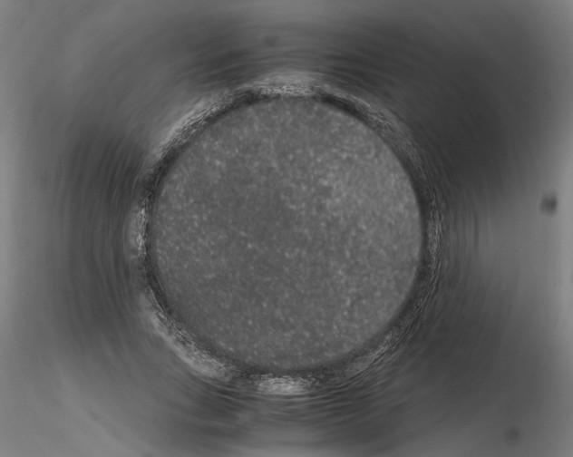 X0000114660735200912011134