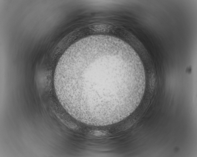 X0000114660737200912011134