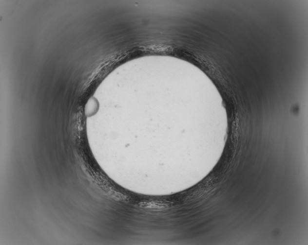 X0000114660739200912011134