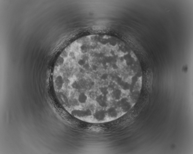 X0000114660742200912011135