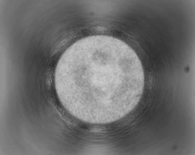 X0000114660746200912011135