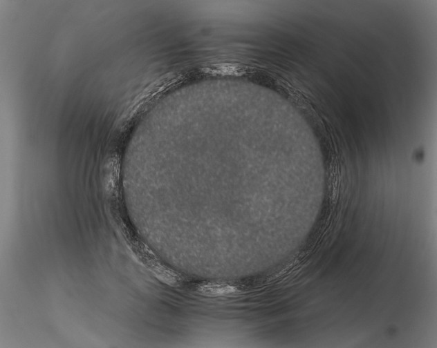 X0000114660747200912011135