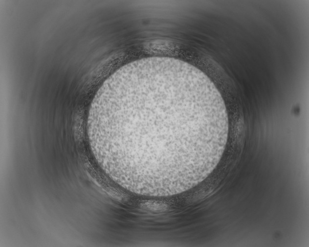 X0000114660749200912011135