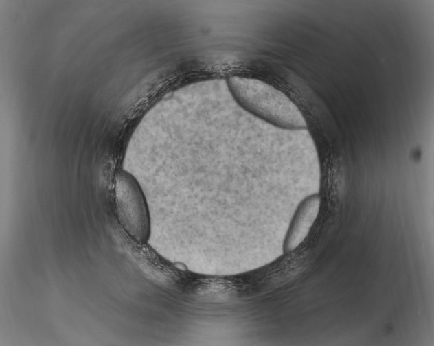 X0000114660750200912011135