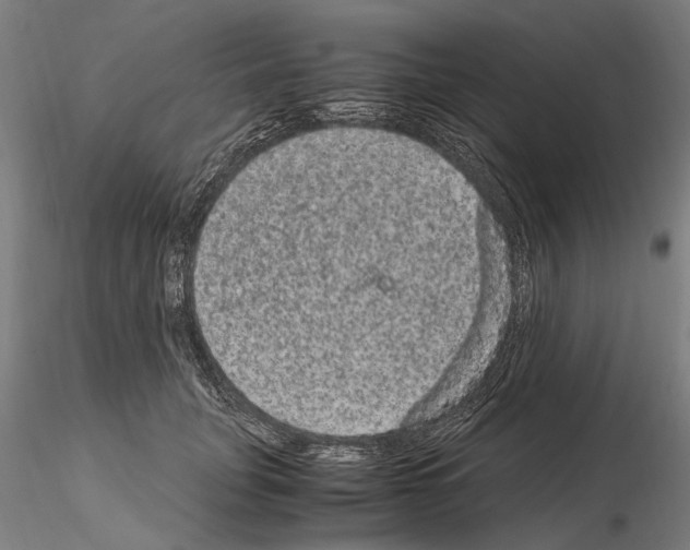 X0000114660751200912011135