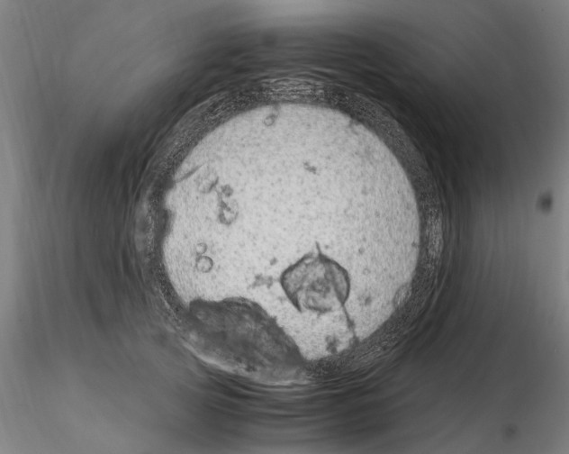 X0000114660753200912011135