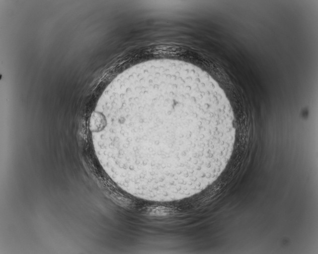 X0000114660755200912011135