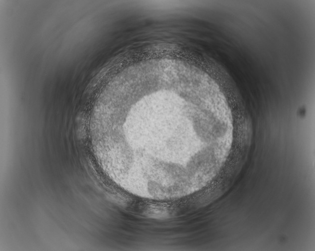 X0000114660757200912011135