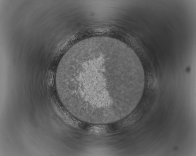 X0000114660758200912011135