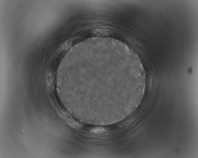 X0000114660759200912011135