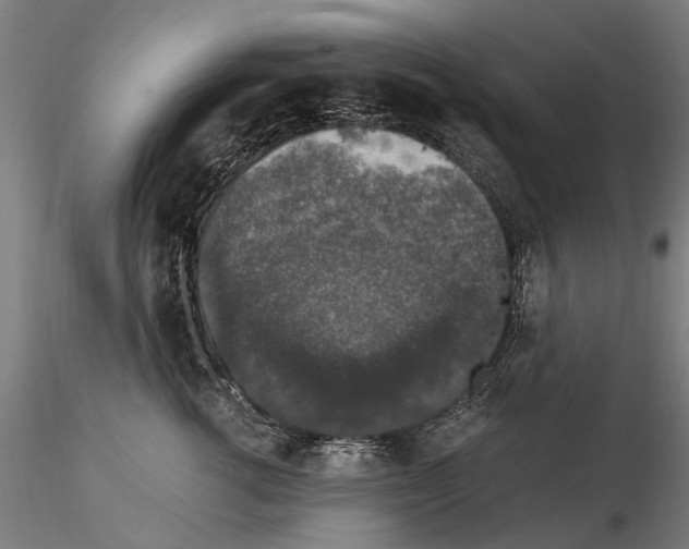 X0000114660762200912011135