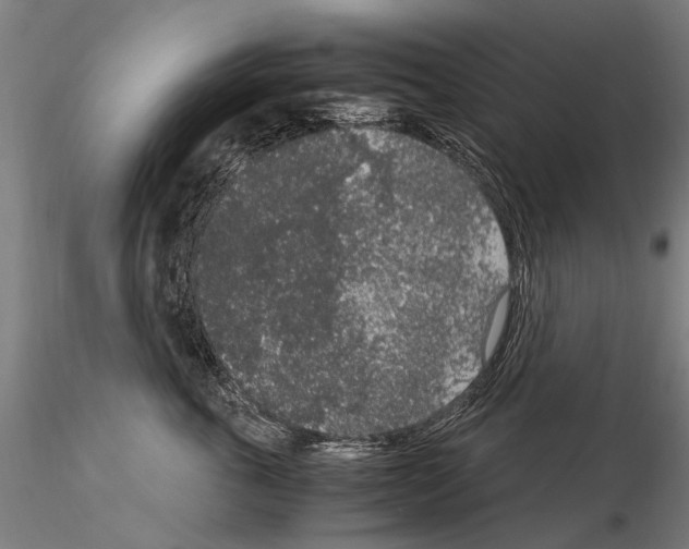 X0000114660763200912011135