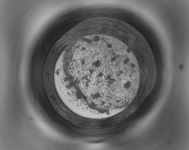 X0000114660765200912011135