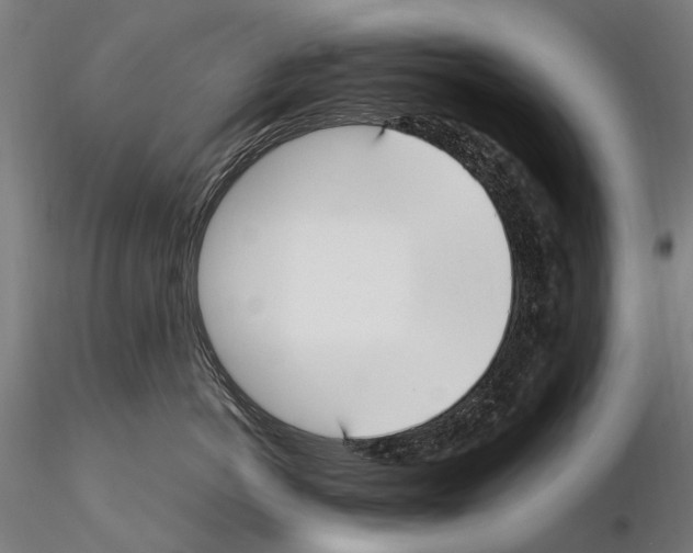 X0000114660766200912011135