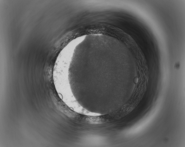 X0000114660767200912011135