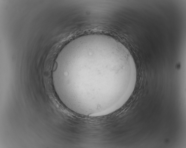 X0000114660769200912011134