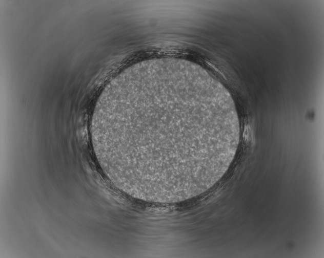 X0000114660771200912011134