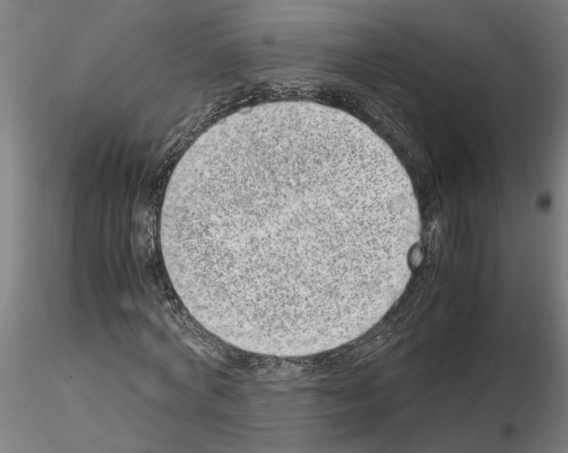 X0000114660772200912011134