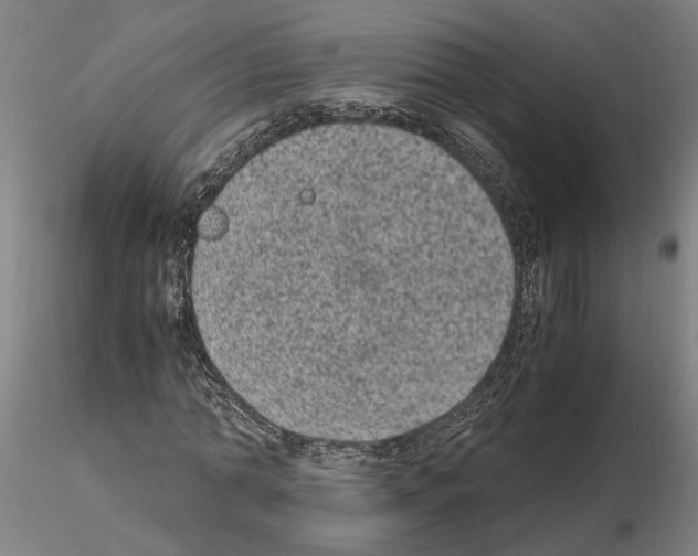 X0000114660774200912011134