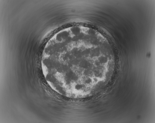 X0000114660775200912011134