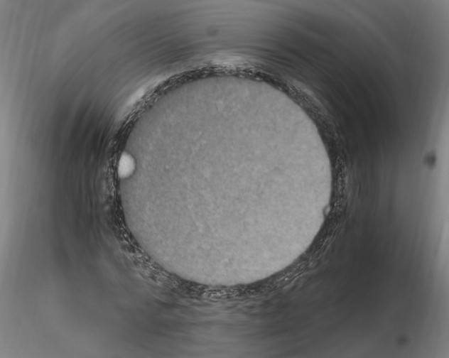 X0000114660776200912011134