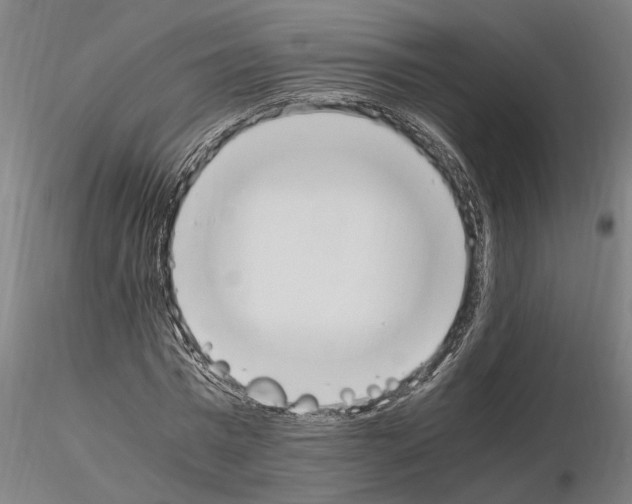 X0000114660777200912011134