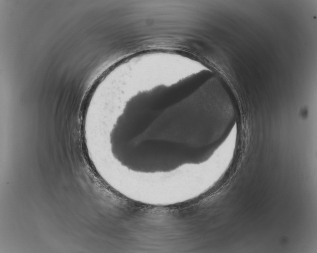 X0000114660779200912011134