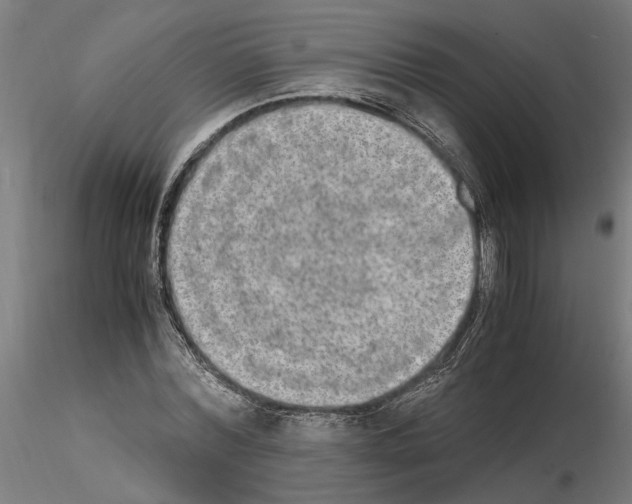 X0000114660780200912011134