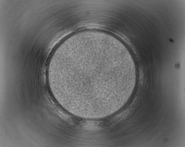 X0000114660782200912011134