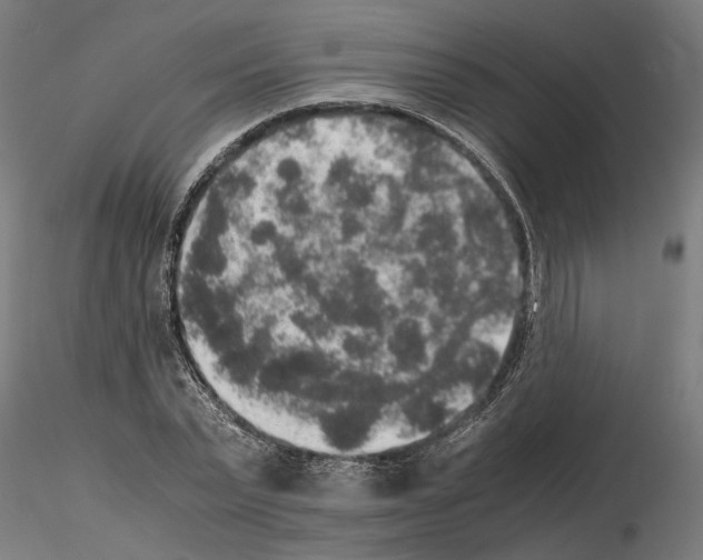 X0000114660783200912011134